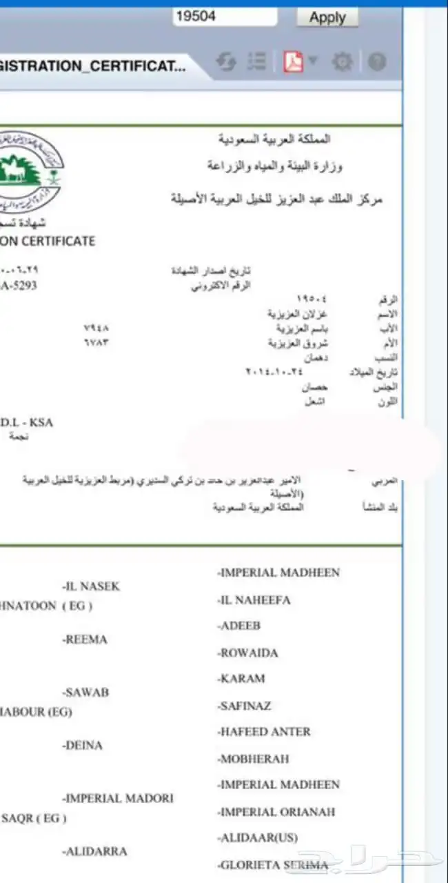 حصان شعبي بطل بطل 5