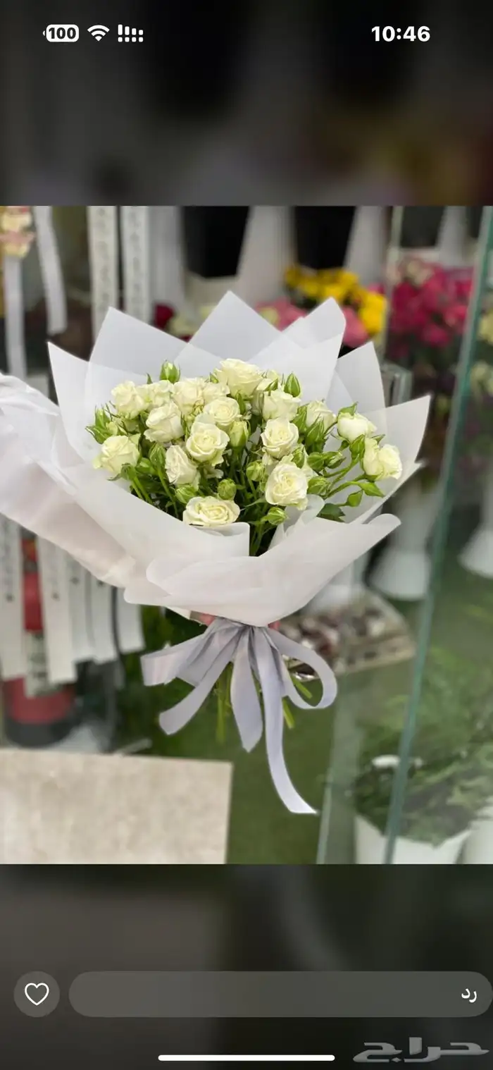 هداياء الاحساء 17