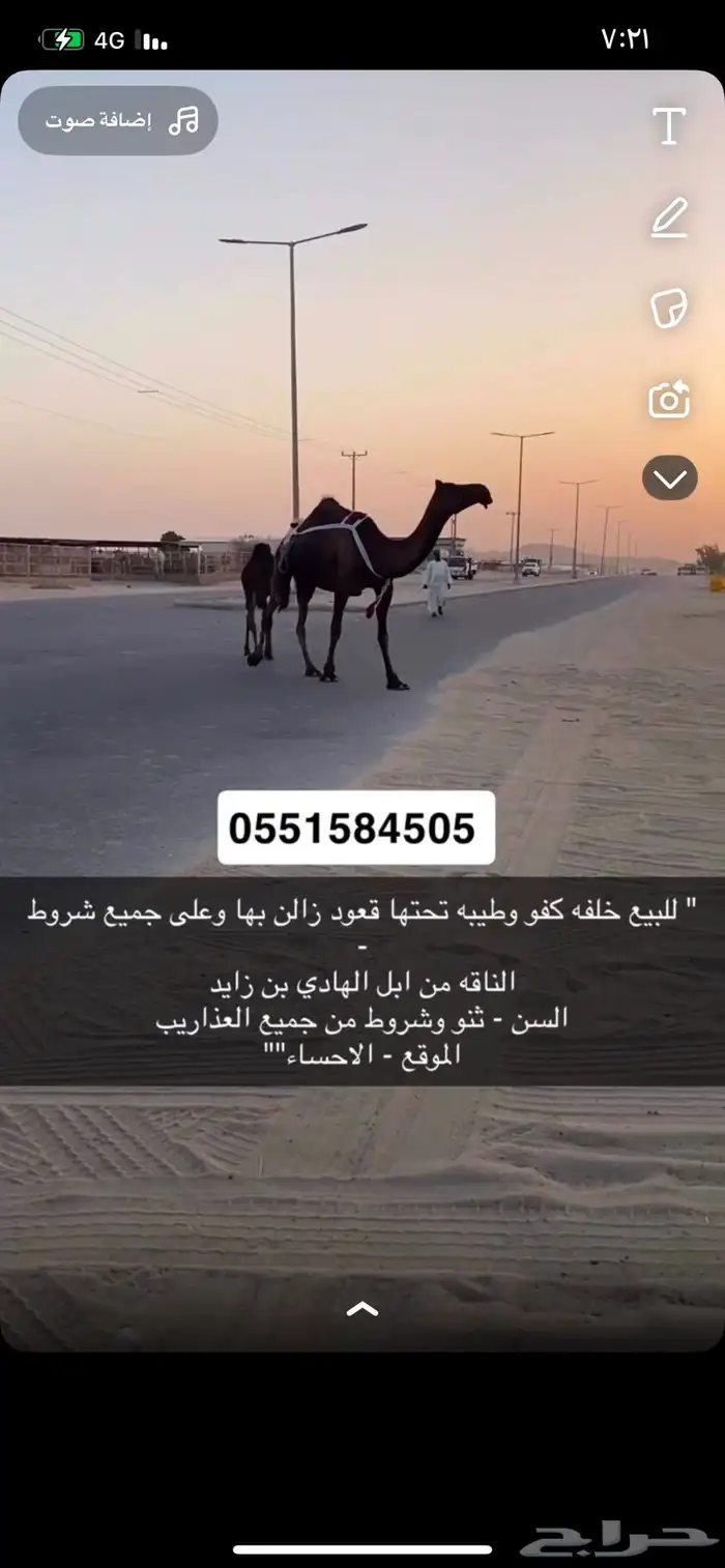 للبيع خلفه كفو 0
