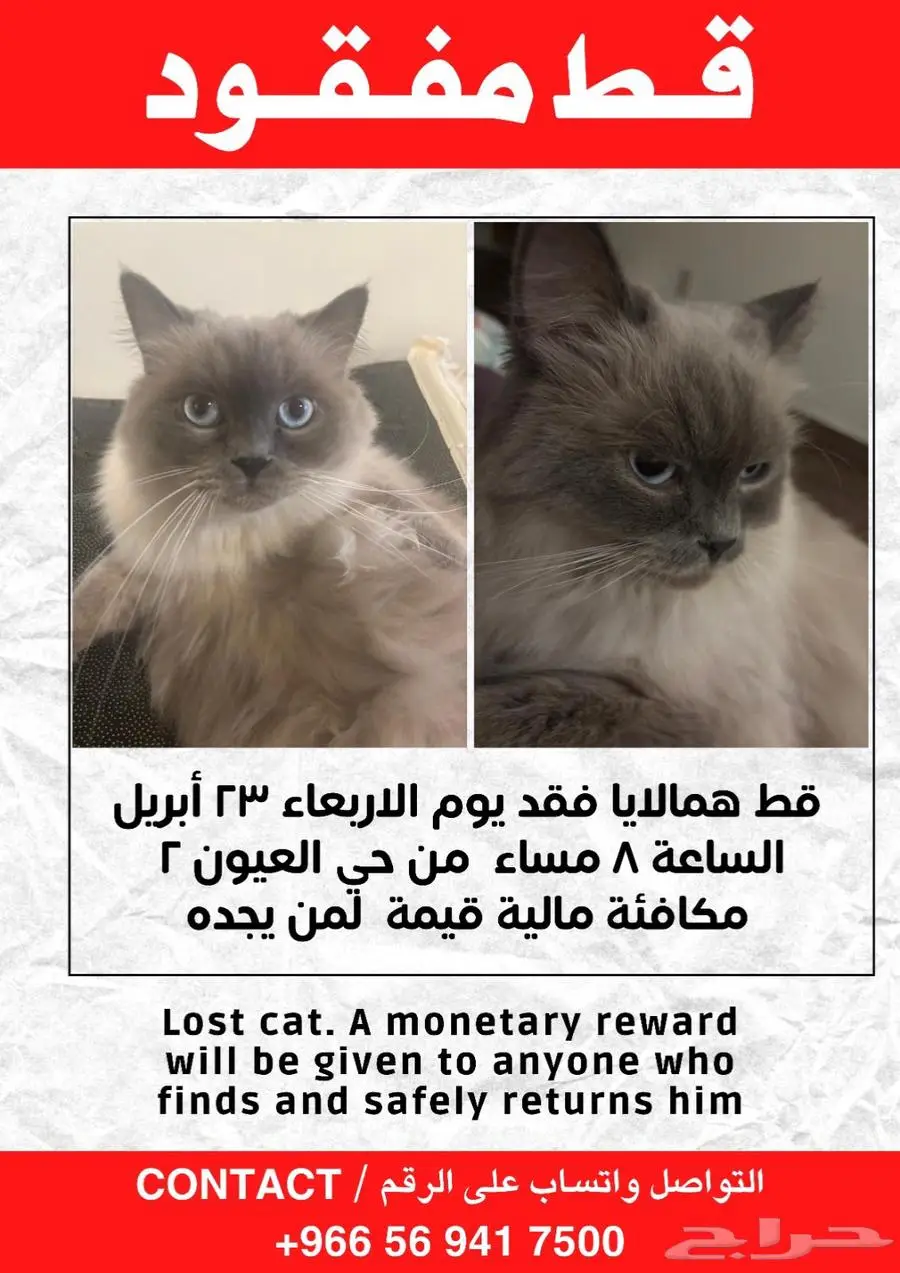 همالايا مفقود قبل شهر 0