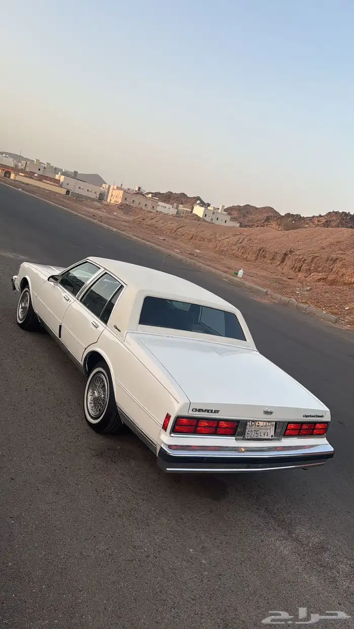 كابرس 1989 بروقهام ( للهاوي والمستخدم ) 2