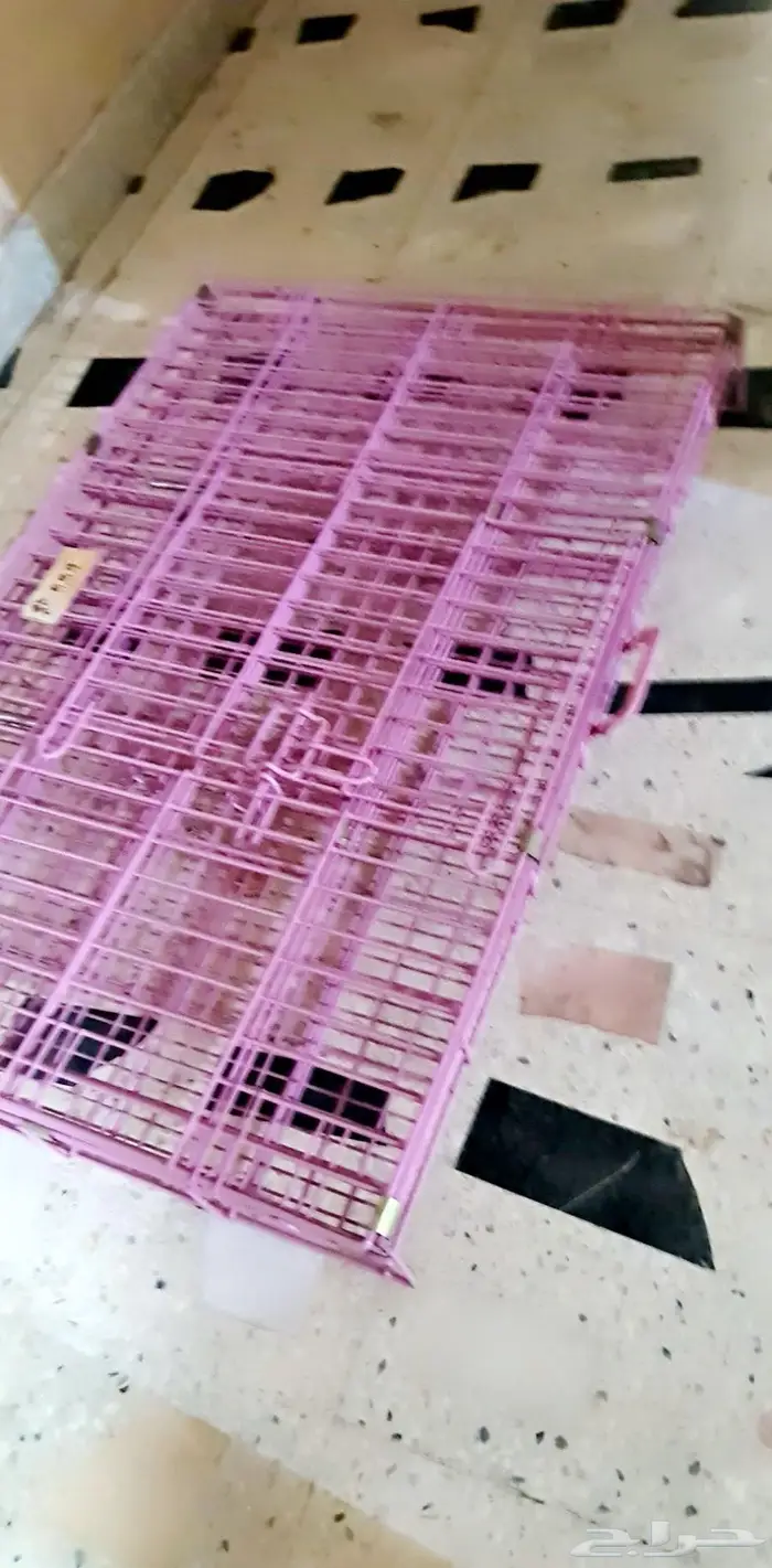 قفص قطط وكلاب 1