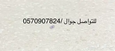 هوندا بايلوت 0