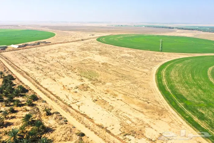 مزرعة للبيع غرب الشيحية 2