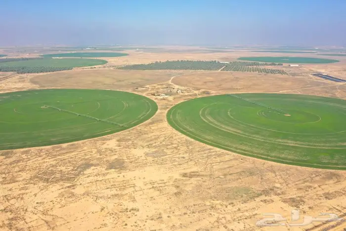 مزرعة للبيع غرب الشيحية 3