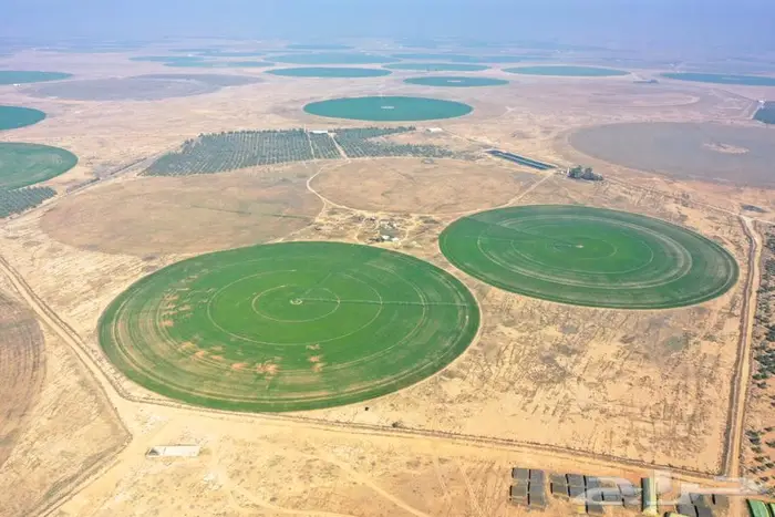 مزرعة للبيع غرب الشيحية 9