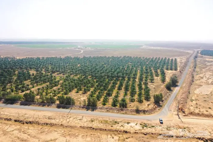 مزرعة للبيع غرب الشيحية 6