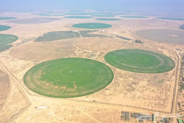 مزرعة للبيع غرب الشيحية 5