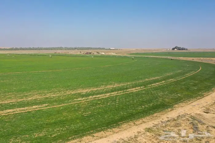 مزرعة للبيع غرب الشيحية 4