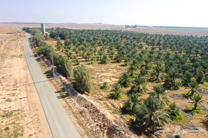 مزرعة للبيع غرب الشيحية 7