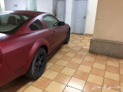 رش سيارات 4