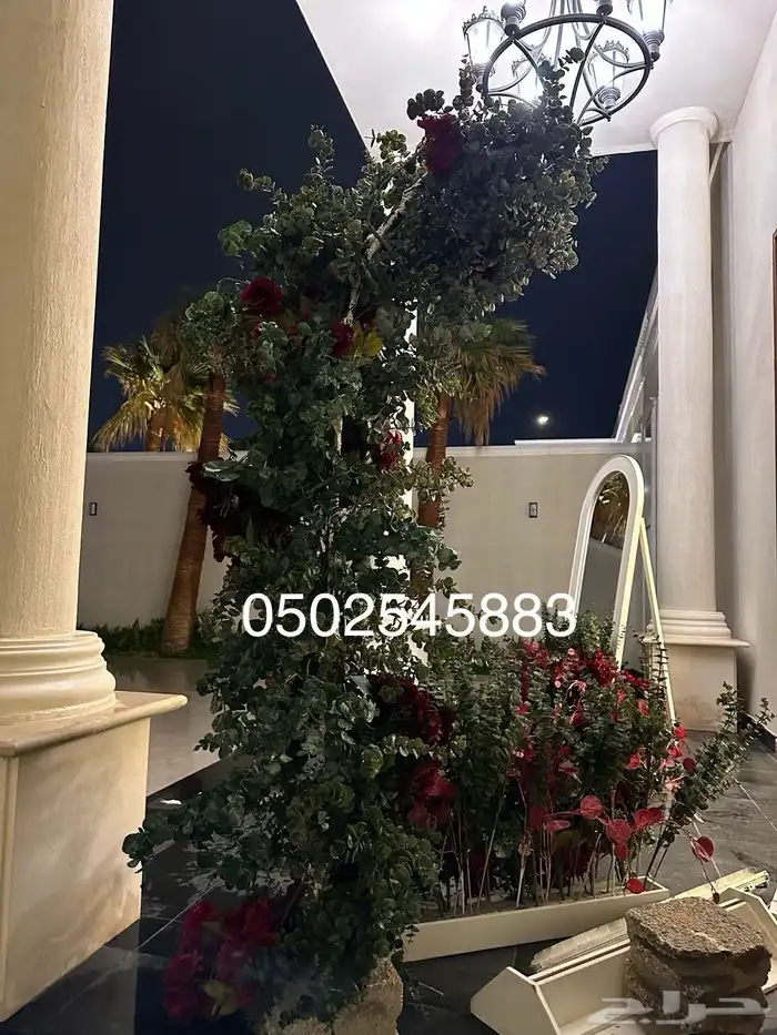كوش زوجات مداخل استقبال طاولات طعام 6