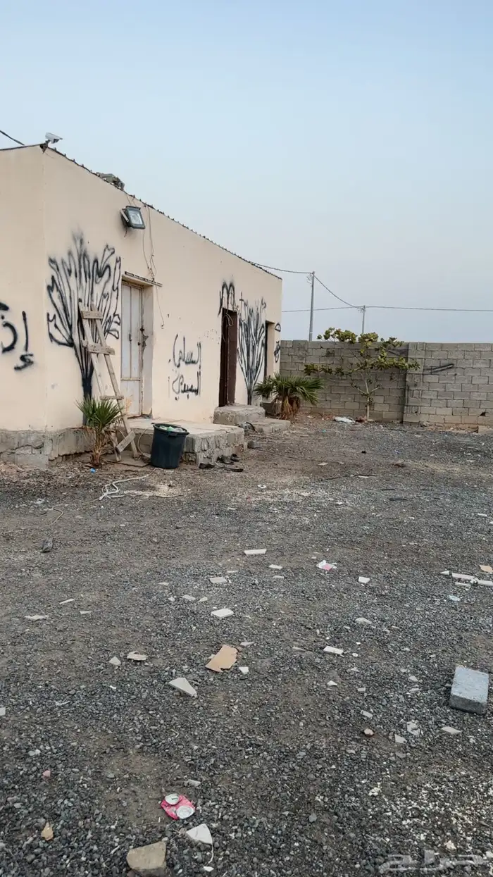 حوش للايجار 0