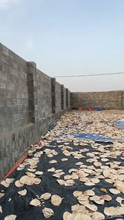 خبز ناشف 0