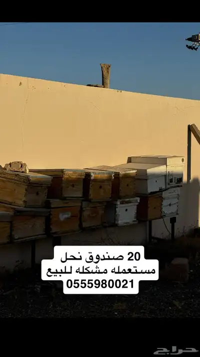 صناديق نحل مستعمله 0