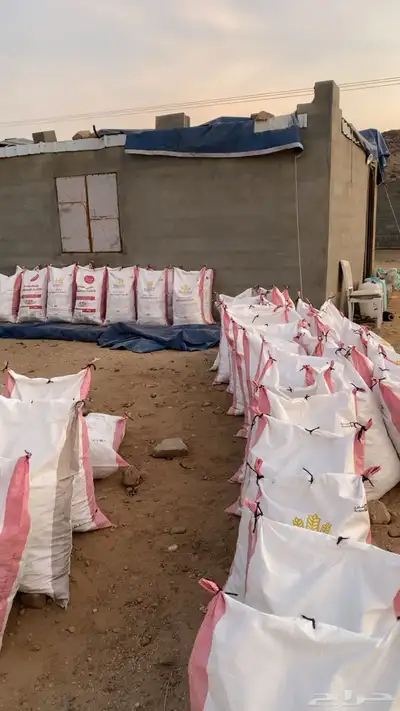 خبز ناشف 1