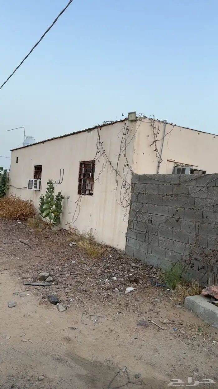 حوش للايجار 3