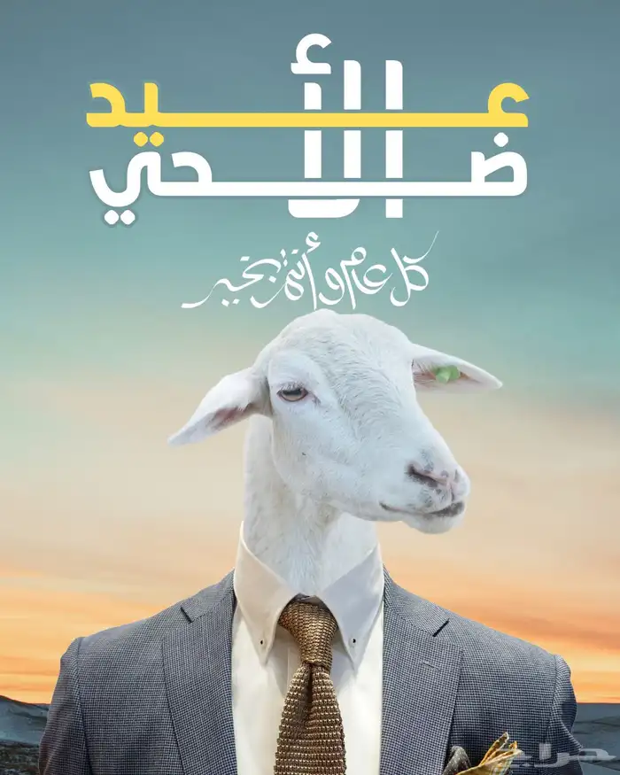 مصمم جرافيك - ب أفضل الأسعار 0