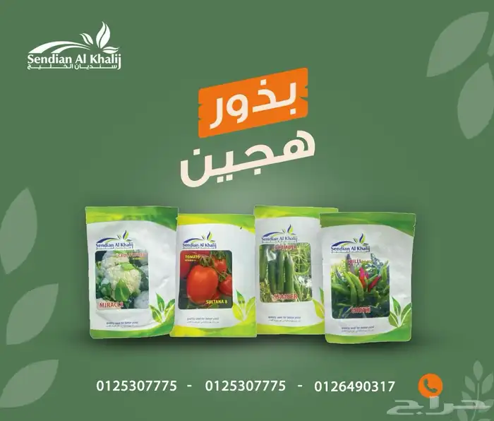 مصمم جرافيك 12