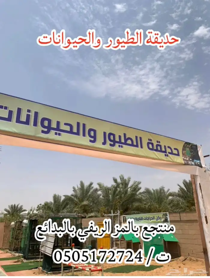 منتجع بالمز الريفي. بالب 7