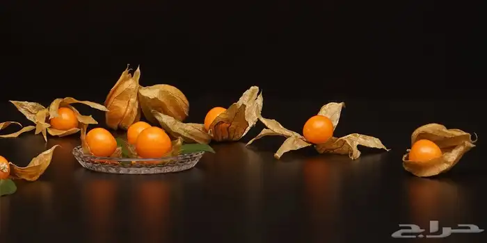 بذور فاكهة الملوك 2