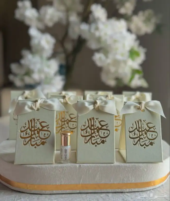تفصيل وتنسيق عربيات ملكه ومداخل استقبال مواليد 47