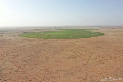 للبيع مزرعه 4 صكوك الكترونيه بالخرماء جنوب غرب المذنب 3