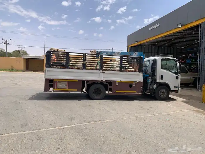 دنه ونش هيدوليك للمشاوير 1