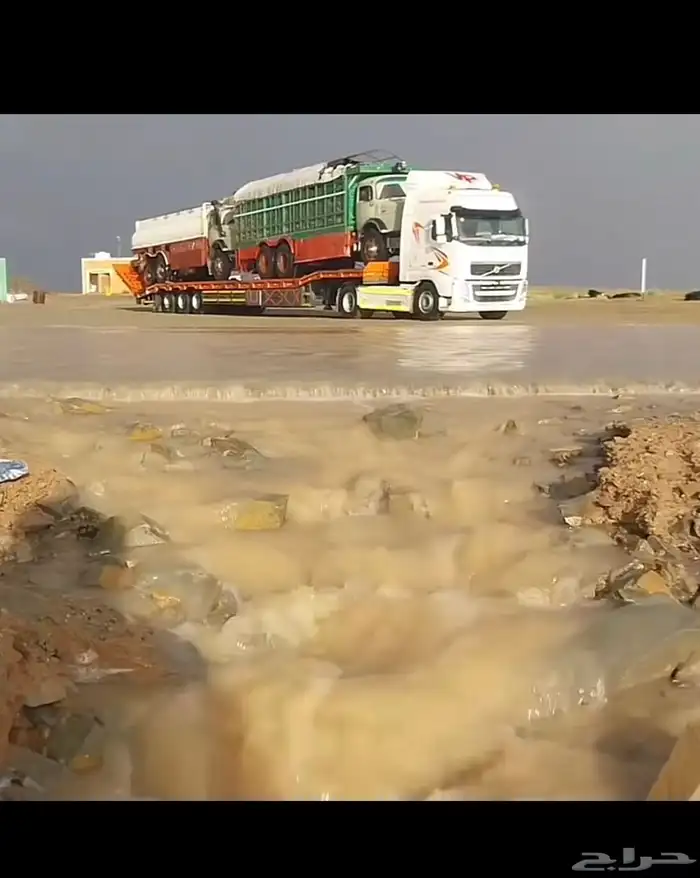 لوبد 4