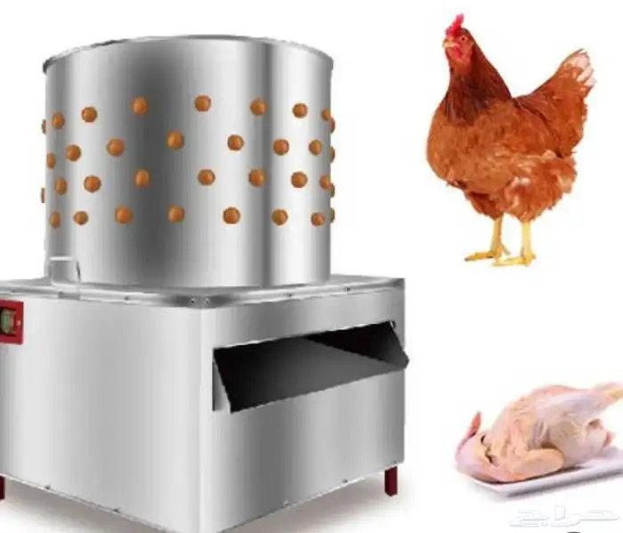 نتافات دجاج حمام مقاس 40-50-60-65 1