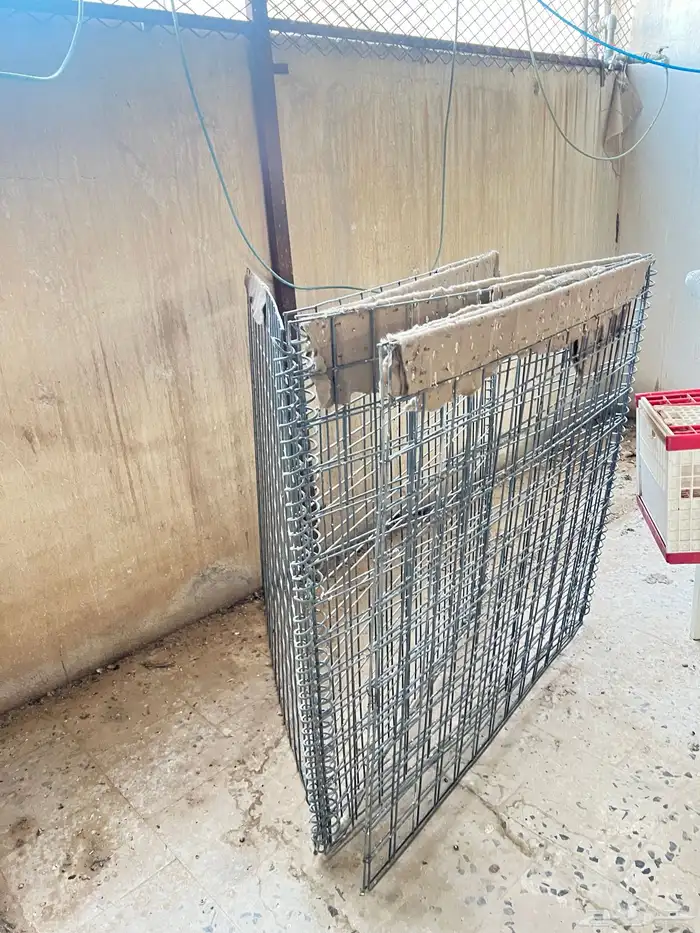 شبك 1