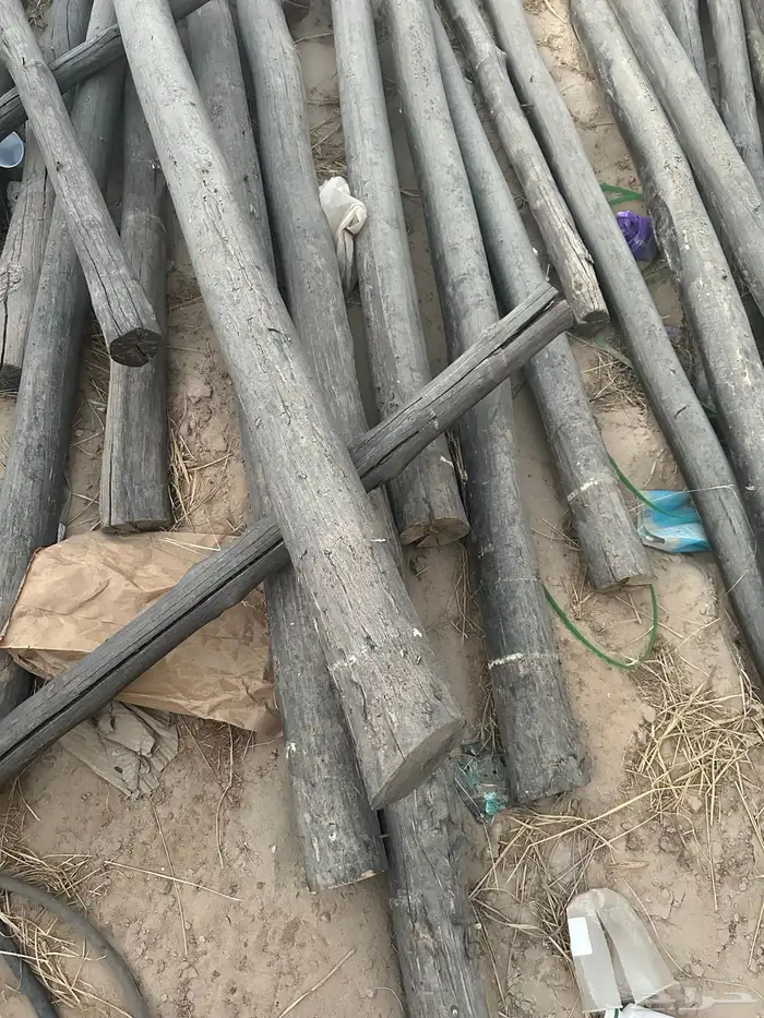 خشب سقف دنكل للمجالس التراثية 1