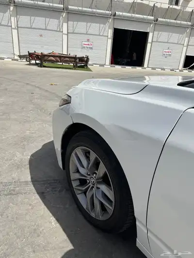 افلون 2019 9