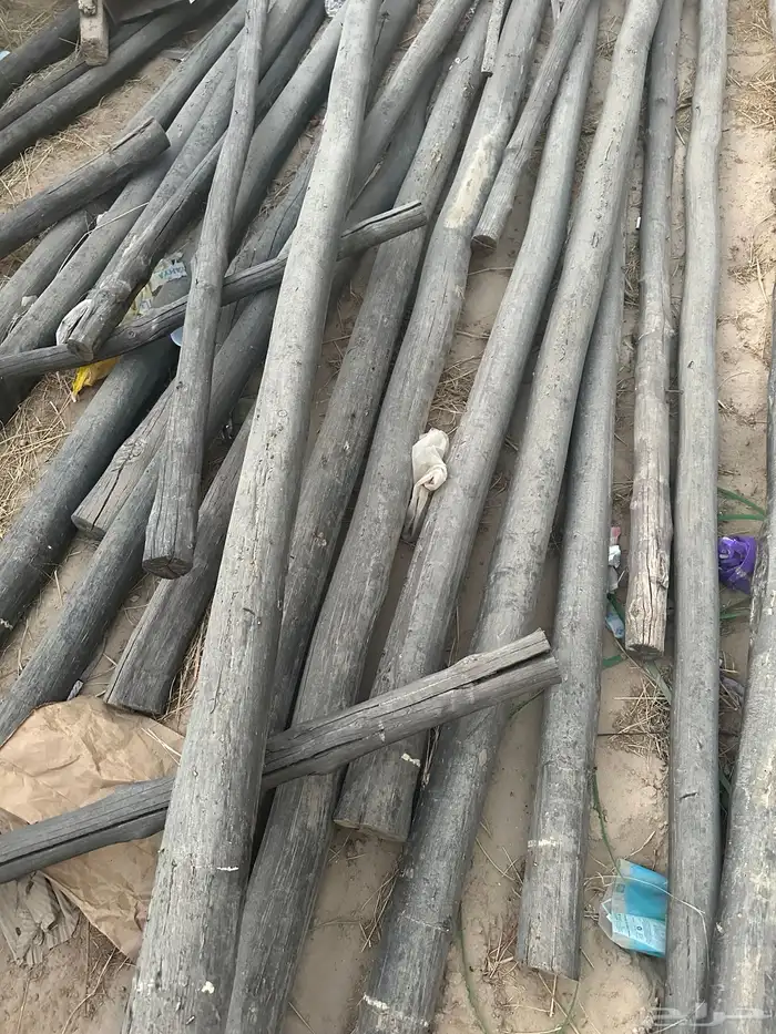 خشب سقف دنكل للمجالس التراثية 2