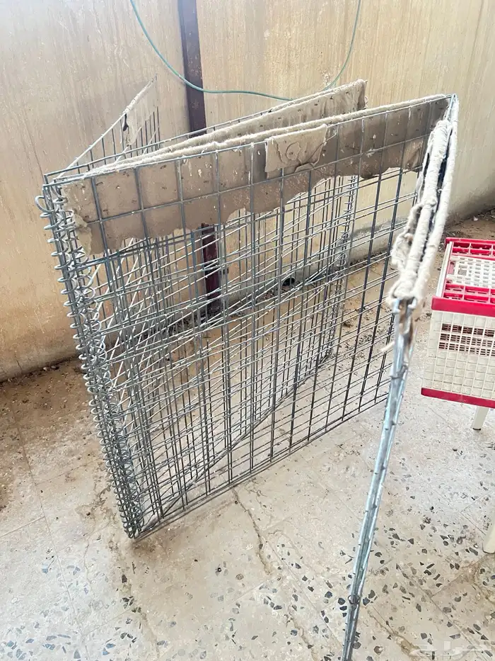 شبك 2