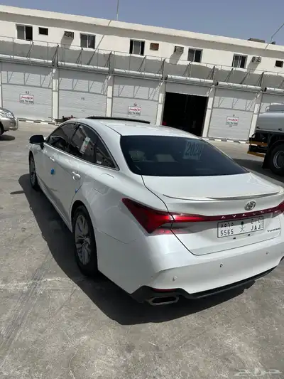 افلون 2019 7