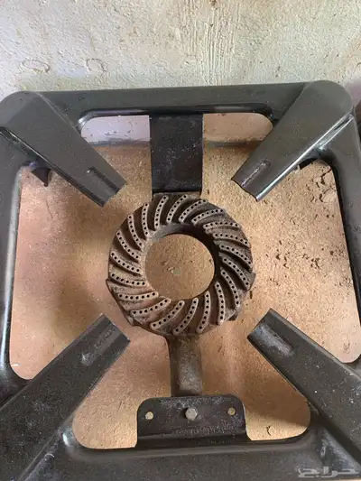 قز إيطالي أخو الجديد 1
