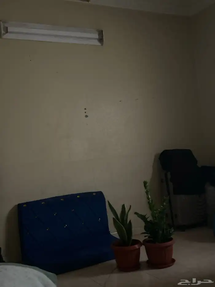 مشاركة سكن 0