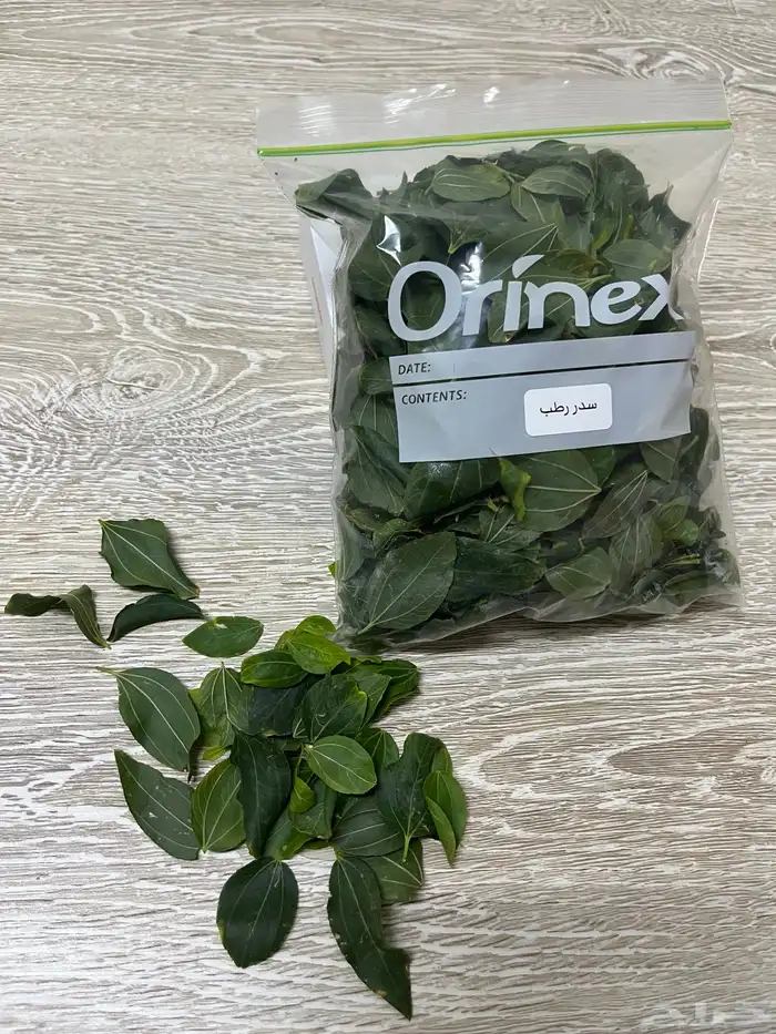 ورق سدر مجاني للعلاج 1