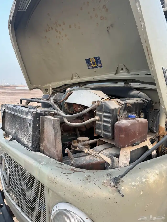 وايت بوز سوبر 10