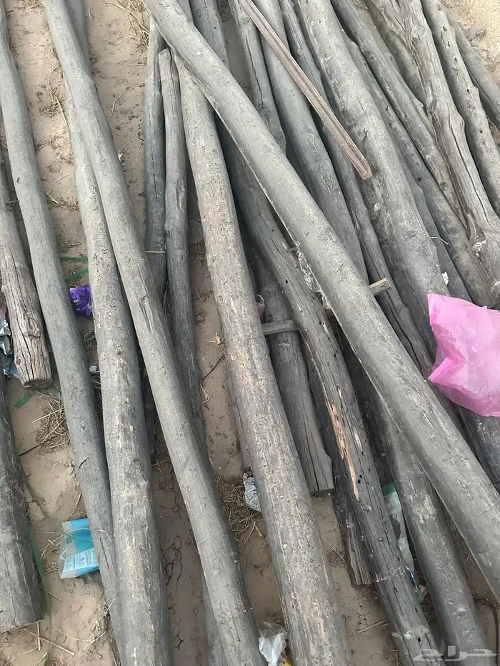 خشب سقف دنكل للمجالس التراثية 0