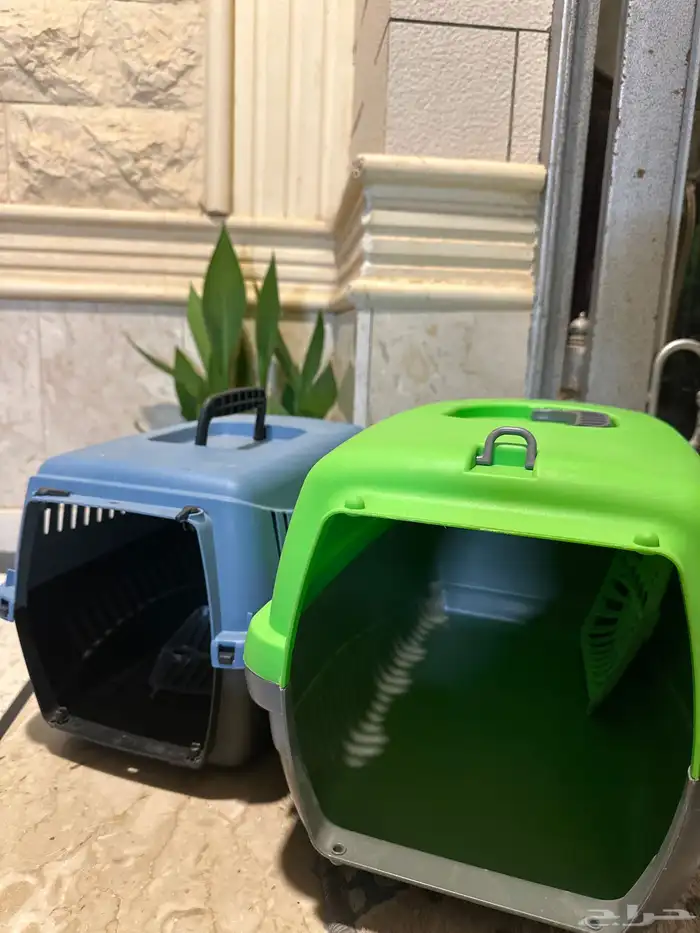 بوكس للقطط كبير وصغير 0