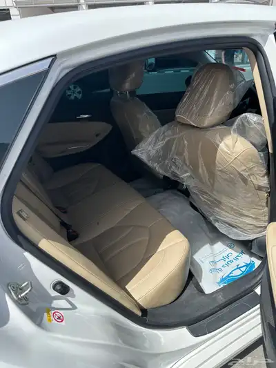 افلون 2019 6
