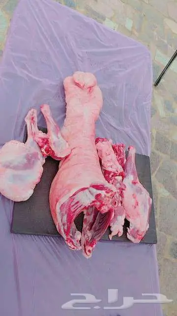 معلم مشويات 5