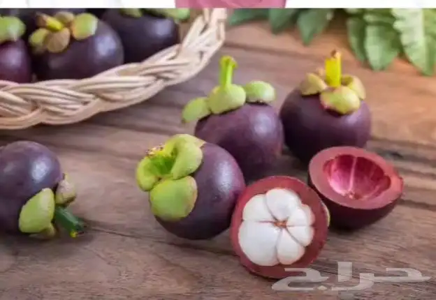 فاكهه المانجو ستين تحارب الخلايا السرطانيه 0