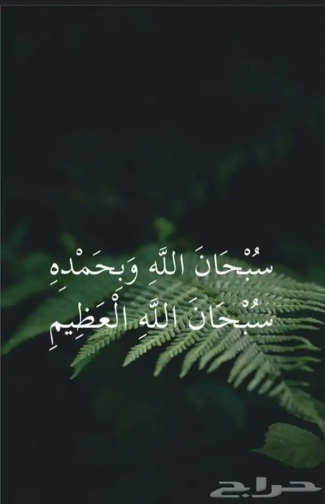 ساعة تطوعه 0