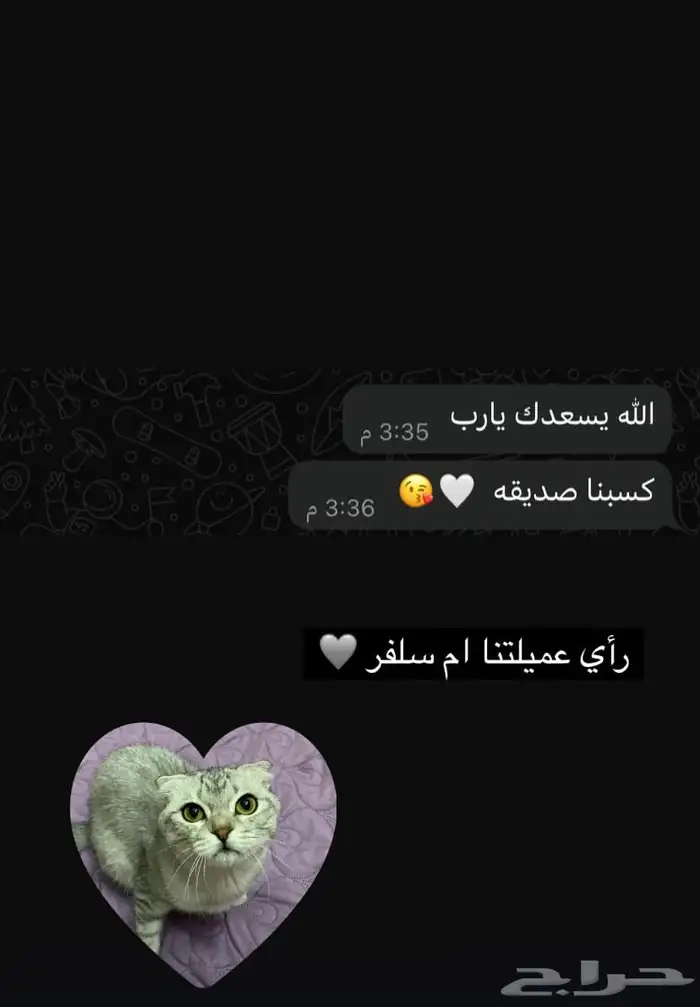 فندقة لوكسا لقطط القصيم 9