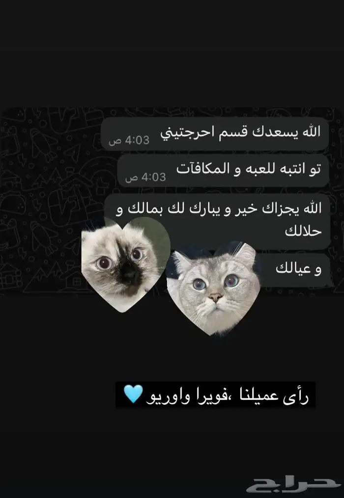 فندقة لوكسا لقطط القصيم 12
