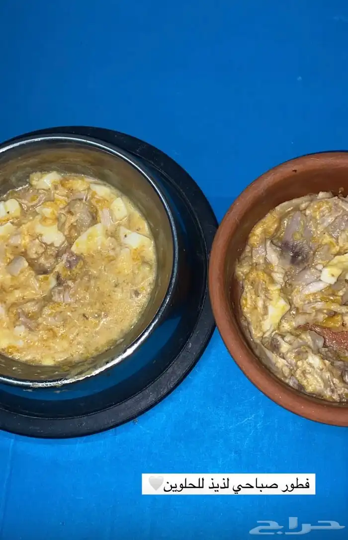 فندقة لوكسا لقطط القصيم 3