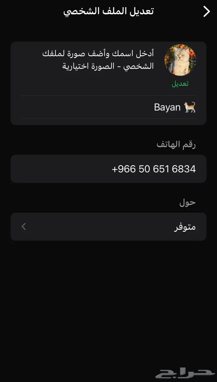 فندقة لوكسا لقطط القصيم 15